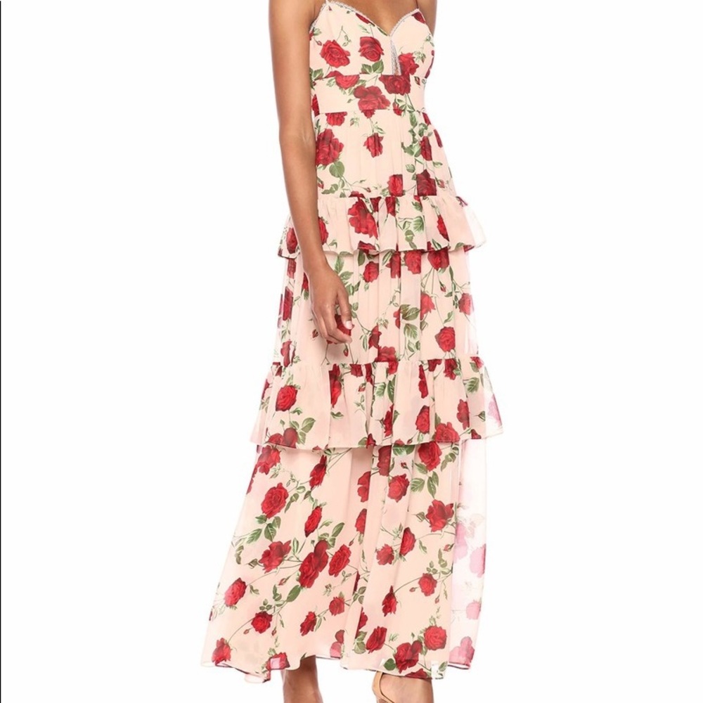 BCBG Tiered Floral Gown in Bare Pink